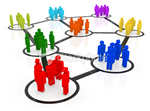 Organization and Team Information
