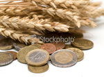 Analysis of crop value