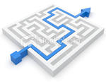 Develop plan of action 
